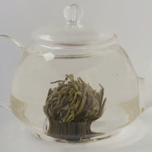 Load and play video in Gallery viewer, Tea Flowers - Green Tea - Marigold Silvery Stage - 10x in a can
